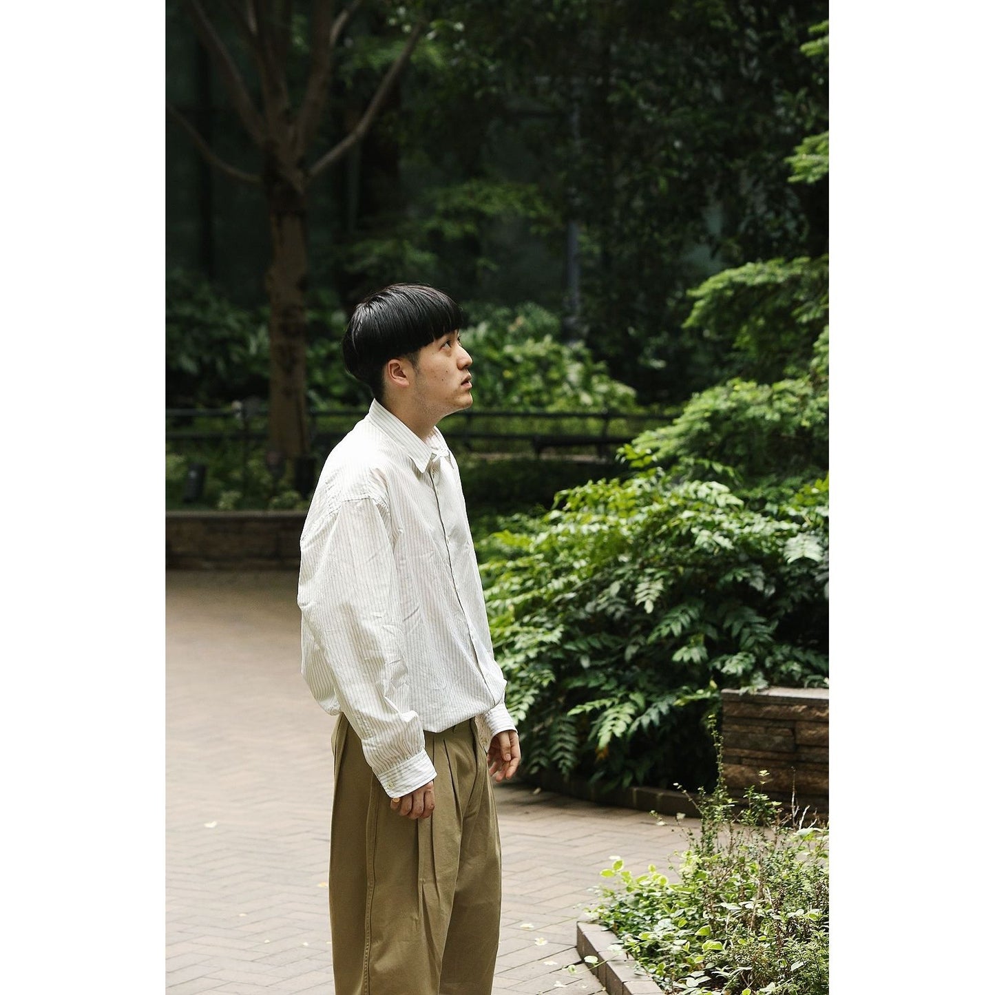 DIRECTOR`S GOLD STRIPE SHIRT (ALUMO) W/GOLD CUFFLINKS